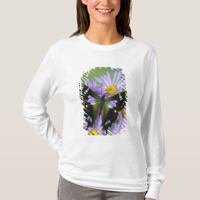 Camiseta Mariposa sobre púrpura (Anverso)