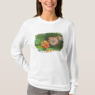 Camiseta Mariposa soldado (Danaus eresimus) alimentándose