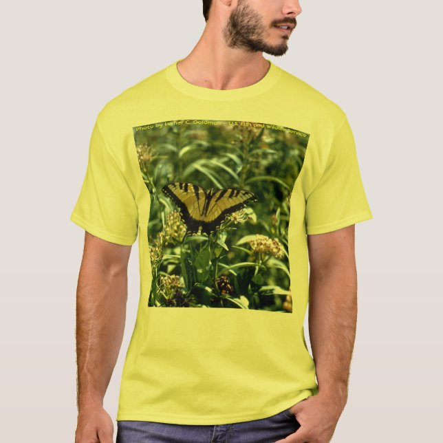 Camiseta Mariposa - tigre Swallowtail (Anverso)