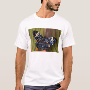 Camiseta Mariposa tropical
