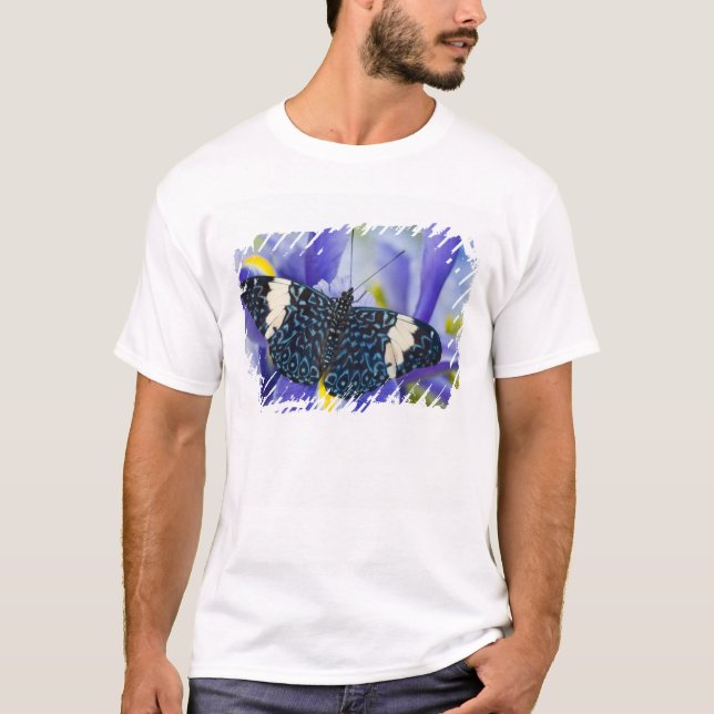 Camiseta Mariposa Tropical Iris Púrpura (Anverso)
