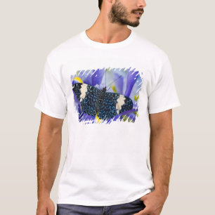 Camiseta Mariposa Tropical Morada Iris