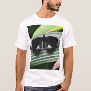 Camiseta Mariposa tropical negra y blanca