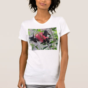 Camiseta Mariposas