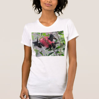 Camiseta Mariposas
