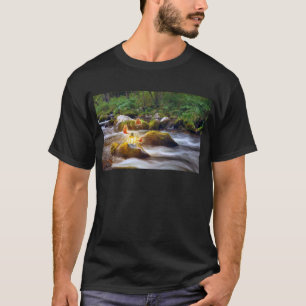 Camiseta Mariposas