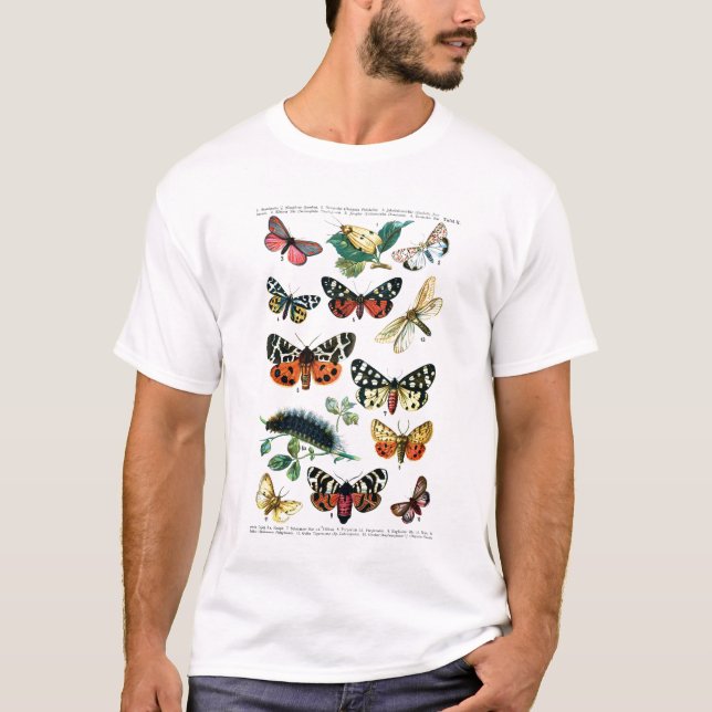 Camiseta Mariposas europeas (Anverso)