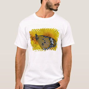 Camiseta Mariposas tropicales