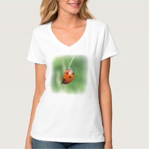 Camiseta Mariquita en una hoja de hierba