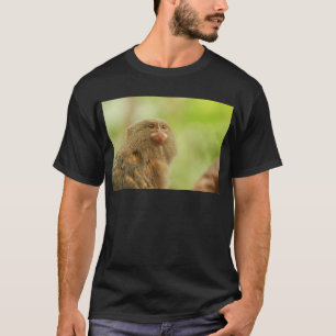 Camiseta Marmosets enanos