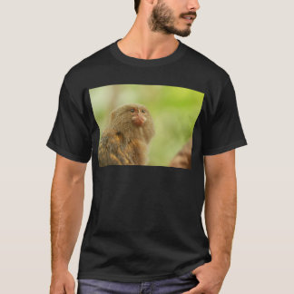 Camiseta Marmosets enanos