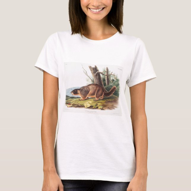 Camiseta Marmot Animal (Anverso)