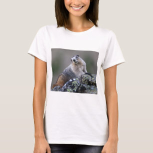 Camiseta marmota
