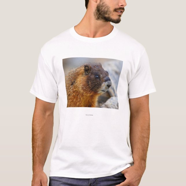 Camiseta Marmota (Anverso)