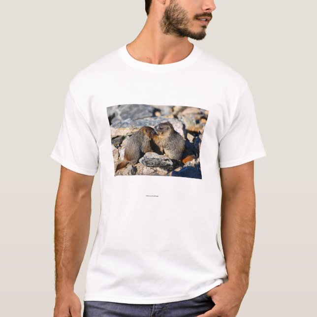 Camiseta Marmota (Anverso)