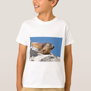 Camiseta Marmota alpina en roca