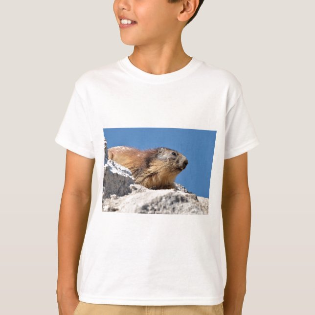 Camiseta Marmota alpina en roca (Anverso)
