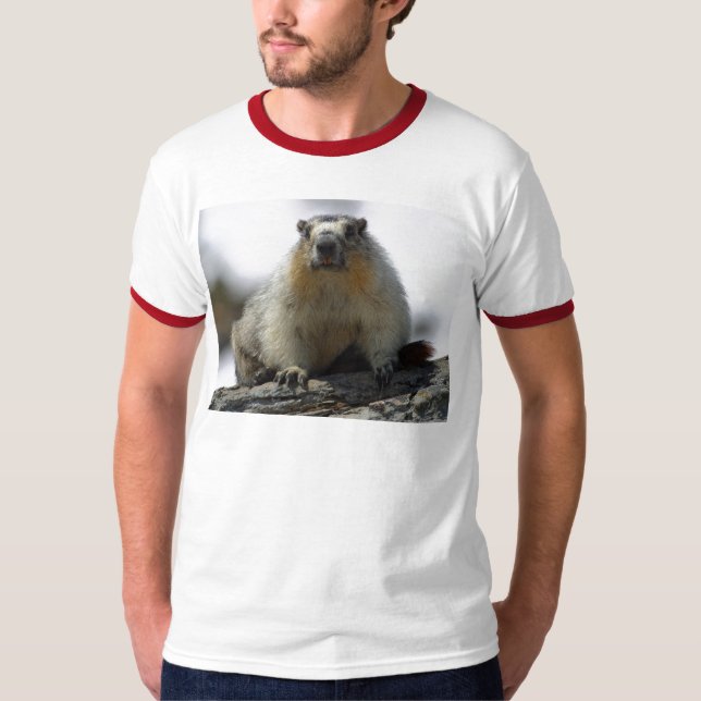 Camiseta Marmota hinchada amarillo (Anverso)