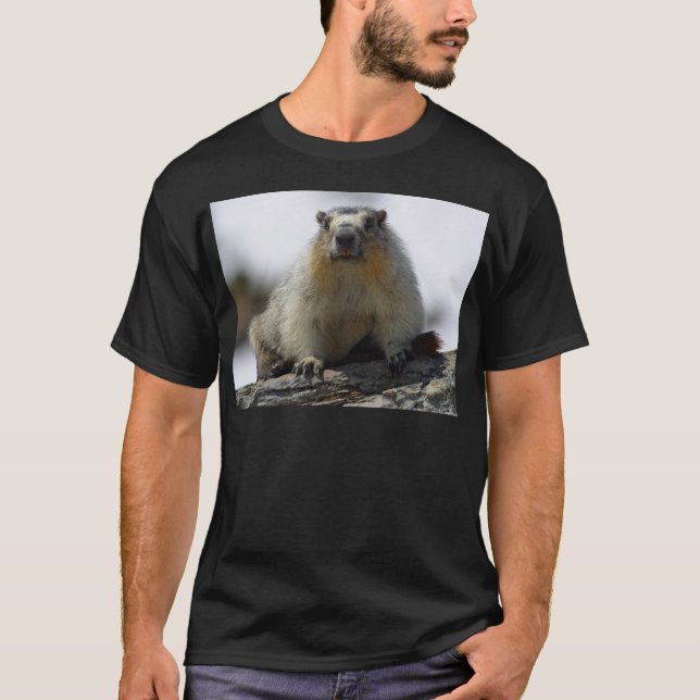 Camiseta Marmota hinchada amarillo (Anverso)