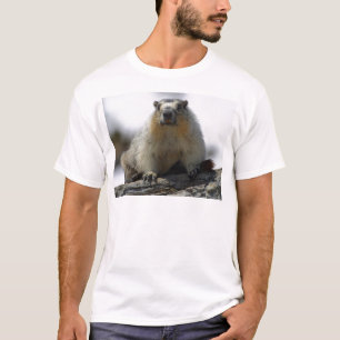 Camiseta Marmota hinchada amarillo
