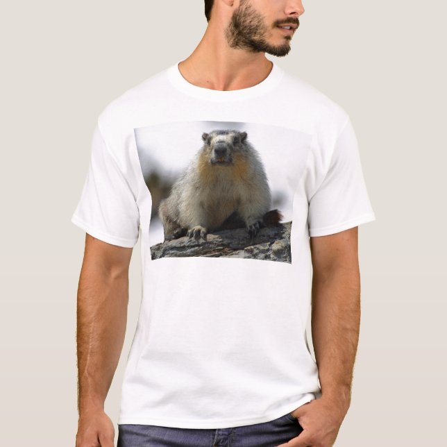 Camiseta Marmota hinchada amarillo (Anverso)