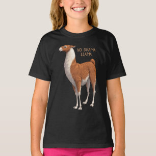 Camiseta Marrón y blanco sin llama de drama