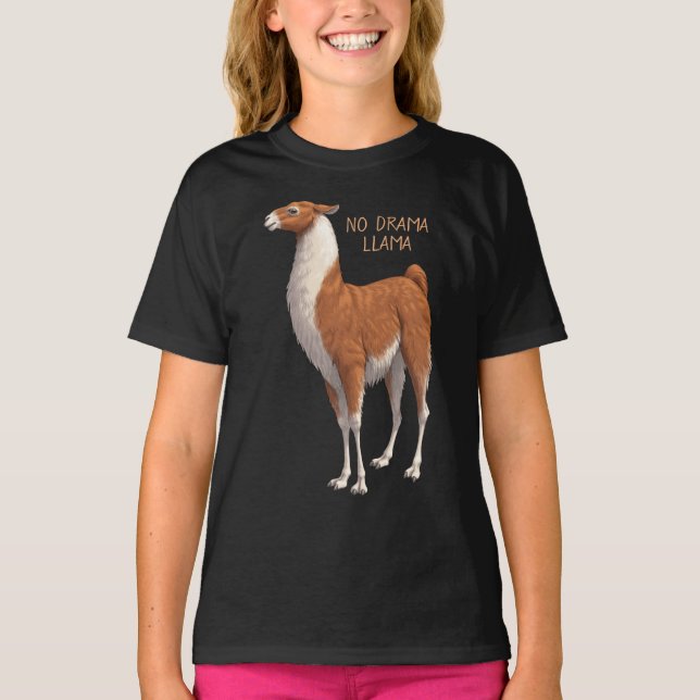 Camiseta Marrón y blanco sin llama de drama (Anverso)