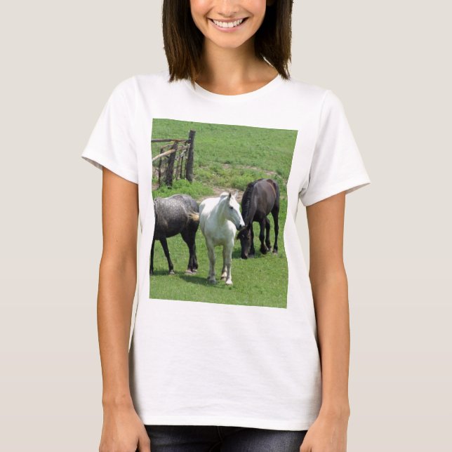 Camiseta ¡Más caballos! (Anverso)