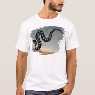 Camiseta Masasauga rival medicina para el atardecer