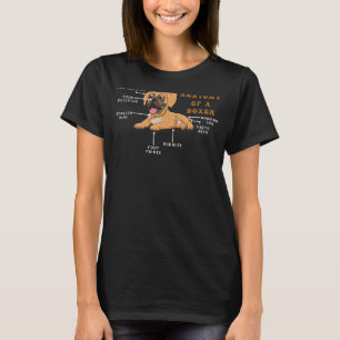 Camiseta Mascota Cute Definición De Perro Anatomía Animal D