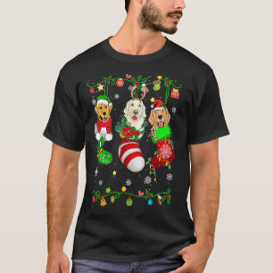 Camiseta Mascota de perro Retriever dorado lindo con calcet