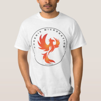 Camiseta masculina