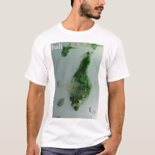 Camiseta masculina BALI