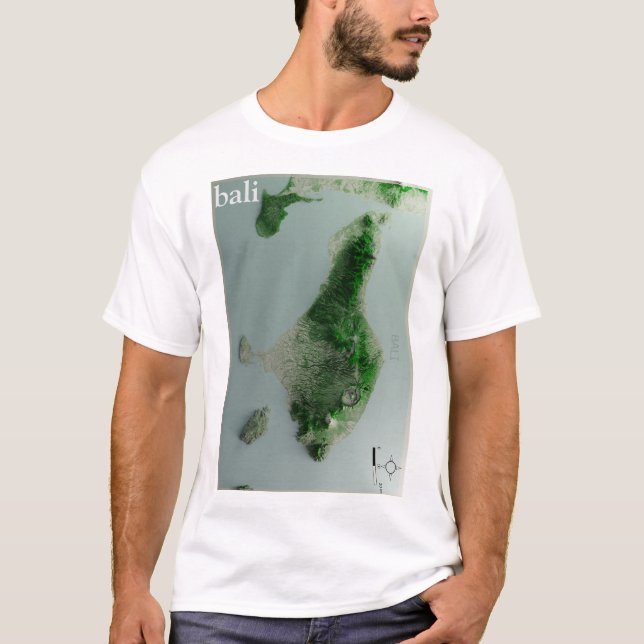 Camiseta masculina BALI (Anverso)