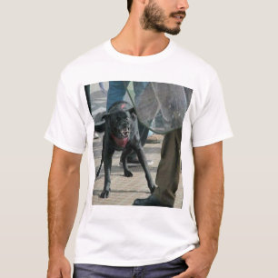 Camiseta Matapacos