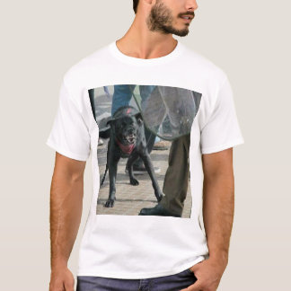 Camiseta Matapacos