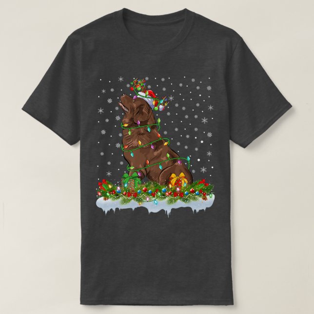 Camiseta Matching Xmas Lighting Santa Newfoundland Dog Chri (Diseño del anverso)