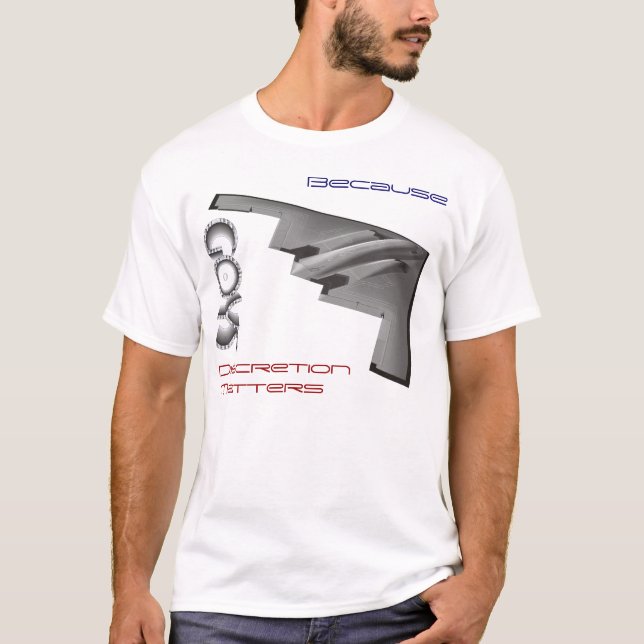Camiseta Materias de la discreción (Anverso)