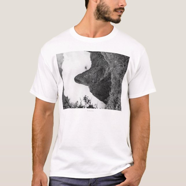 Camiseta Maui, Hawaii - la aguja del valle de Iao (Anverso)