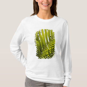 Camiseta Mauricio, Mauricio central, Moka, palmera 2