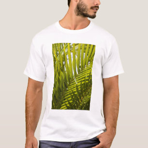 Camiseta Mauricio, Mauricio central, Moka, palmera 2