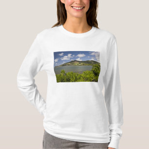 Camiseta Mauricio, Mauricio Meridional, Gran Sable,