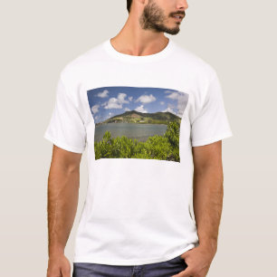 Camiseta Mauricio, sur de Mauricio, Grand Sable,