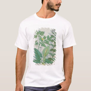 Camiseta Mayor Celandine o amapola