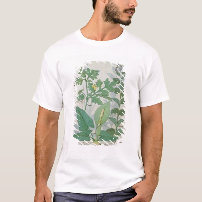 Camiseta Mayor Celandine o amapola (Anverso)