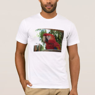 Camiseta Me encantan los loros