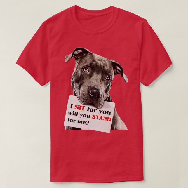 Camiseta Me siento por ti, te defenderás de mí (Diseño del anverso)