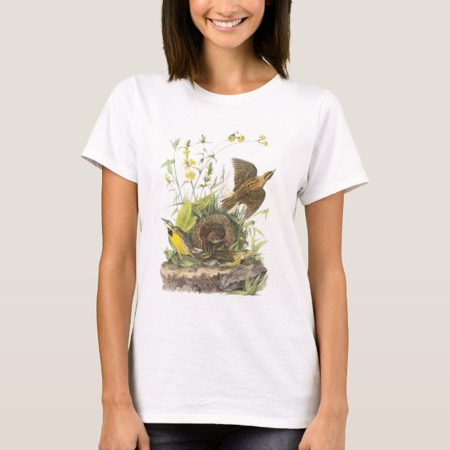 Camiseta Meadowlark del este por Audubon (Anverso)