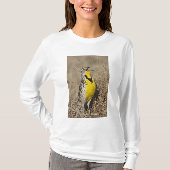 Camiseta Meadowlark occidental (Strunella neglecta) (Anverso)