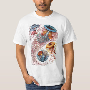 Camiseta Medusas vintage de Ernst Haeckel, Discomedusae
